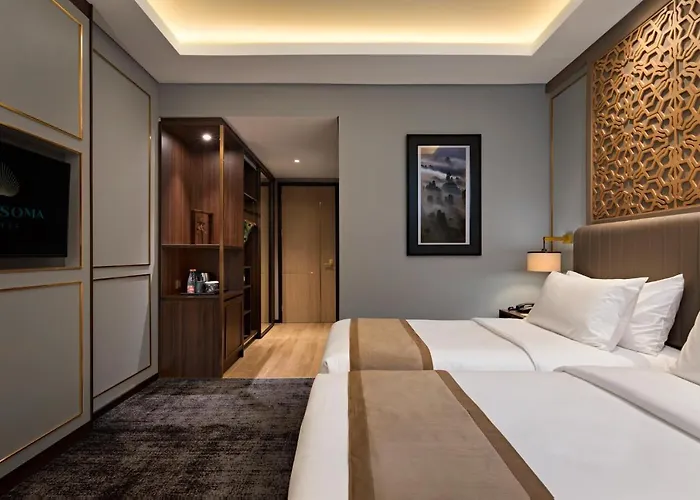 Deluxe Twin Room
